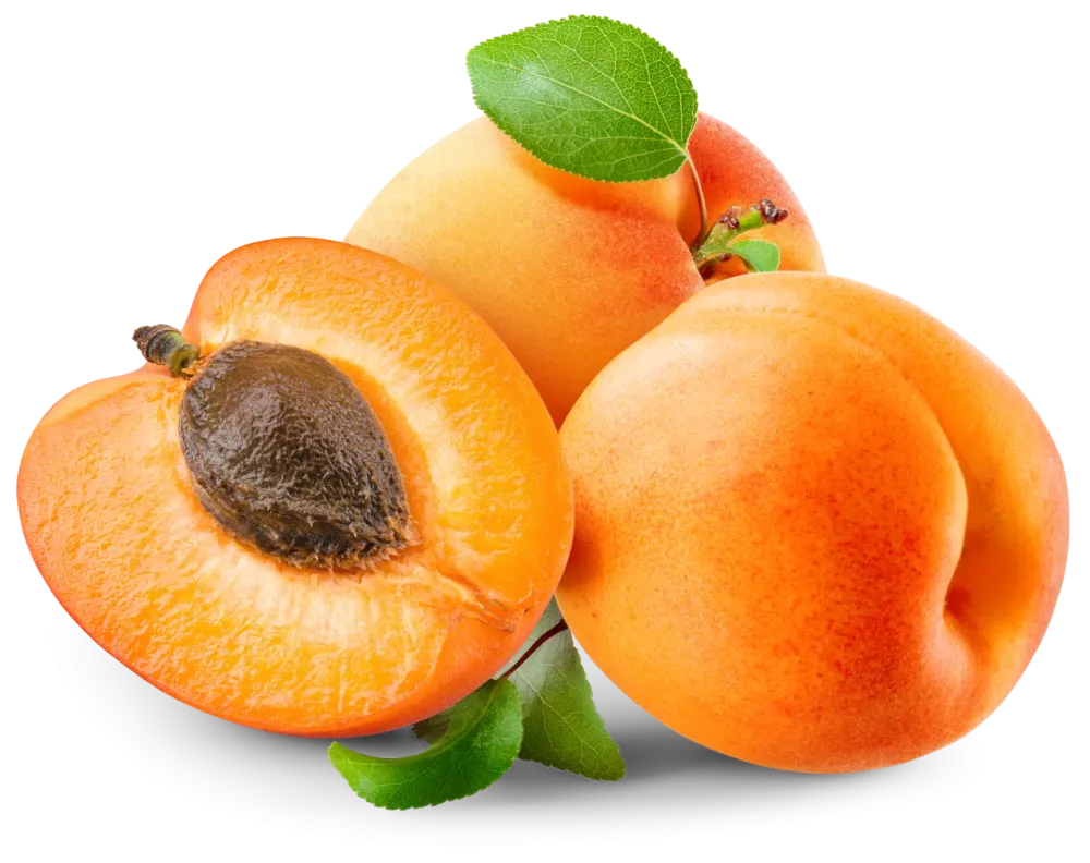 abricot